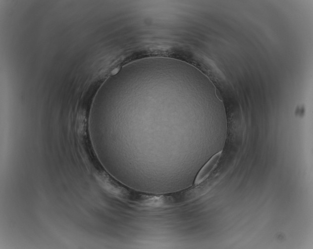 X0000091330083200708171359