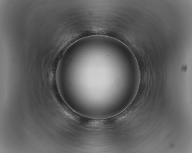 X0000091330084200708171359