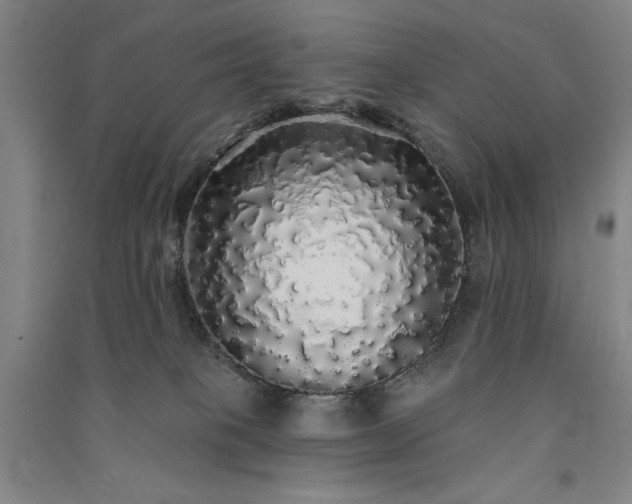 X0000091330085200708171359