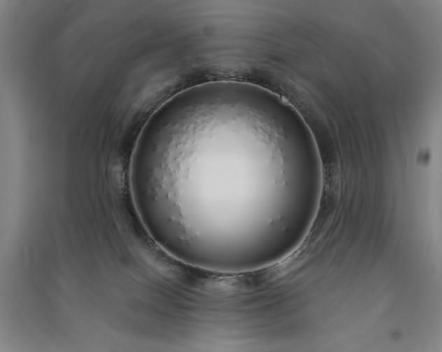 X0000091330086200708171359