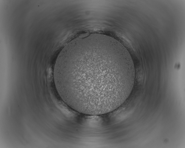 X0000091330087200708171359