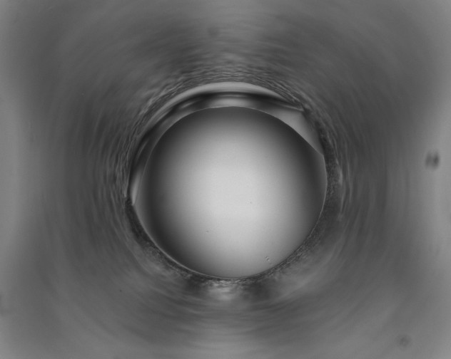 X0000091330088200708171359