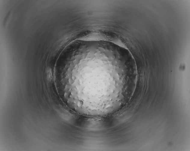 X0000091330089200708171359