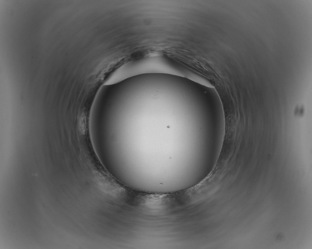 X0000091330090200708171359