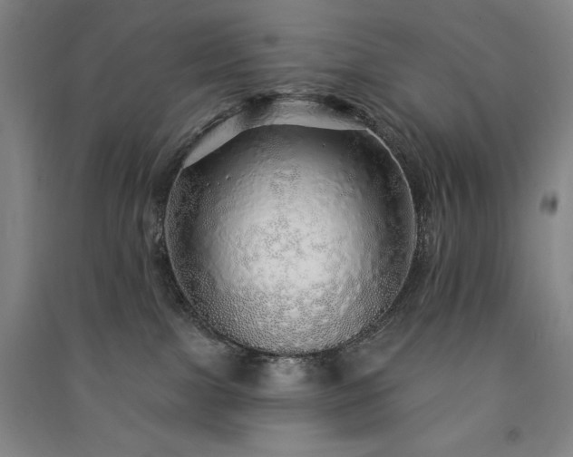 X0000091330091200708171359