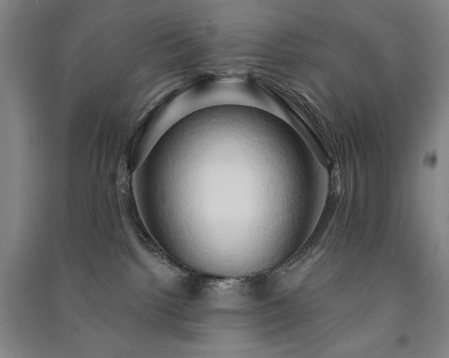 X0000091330092200708171359