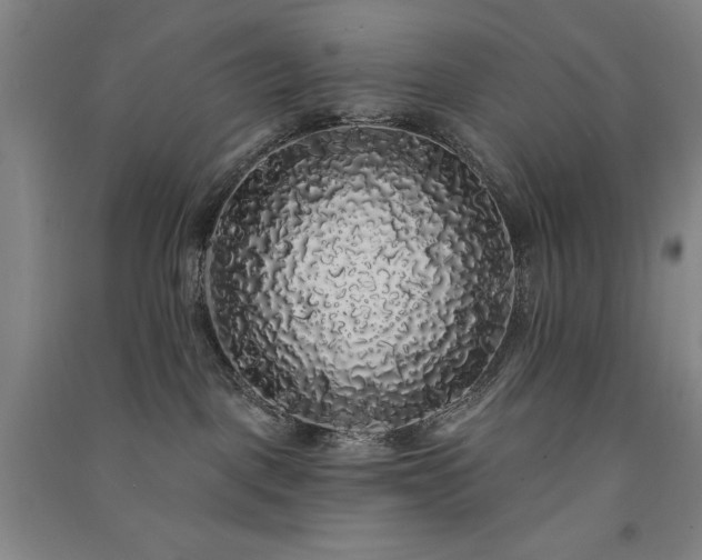 X0000091330093200708171359