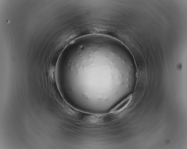 X0000091330094200708171359