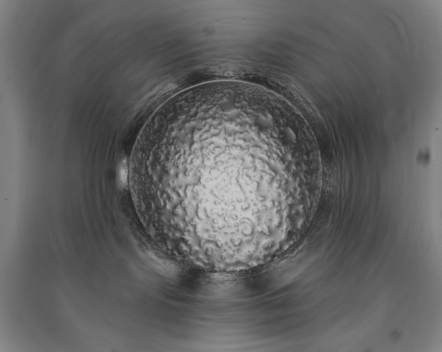 X0000091330095200708171359