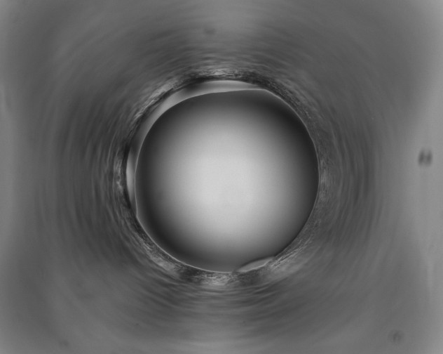 X0000091330096200708171359