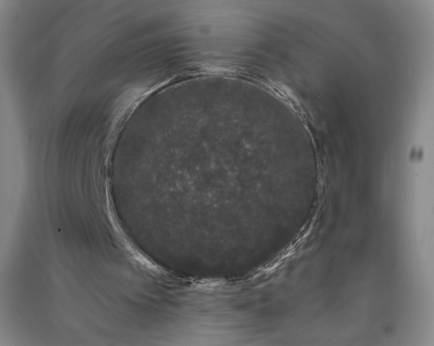 X0000091330097200708171359