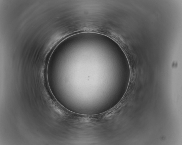 X0000091330098200708171359