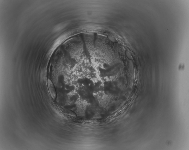 X0000091330099200708171359