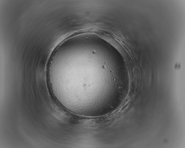 X0000091330100200708171359