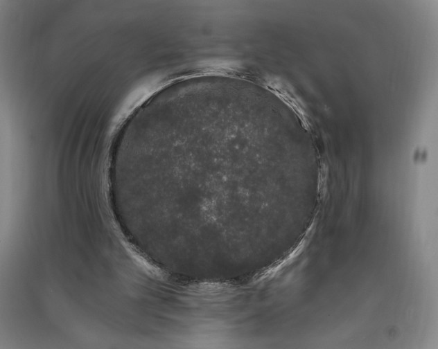 X0000091330101200708171359