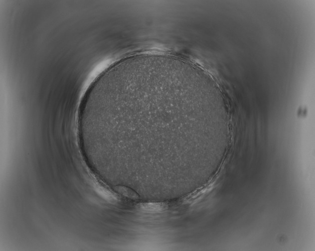 X0000091330102200708171359