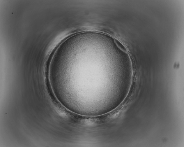 X0000091330103200708171359