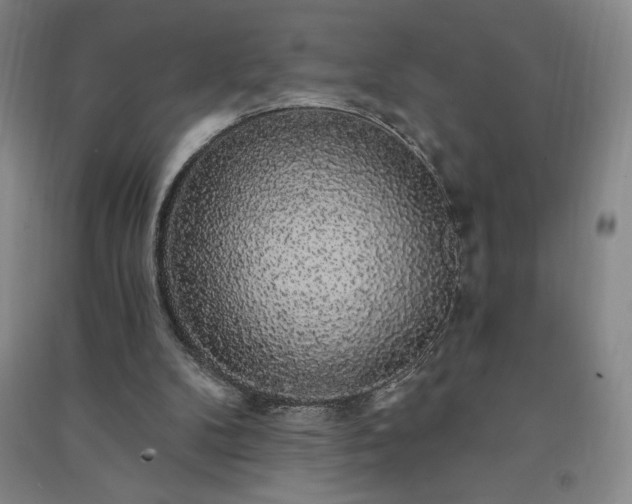 X0000091330104200708171359