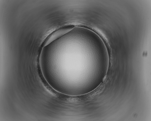 X0000091330105200708171359