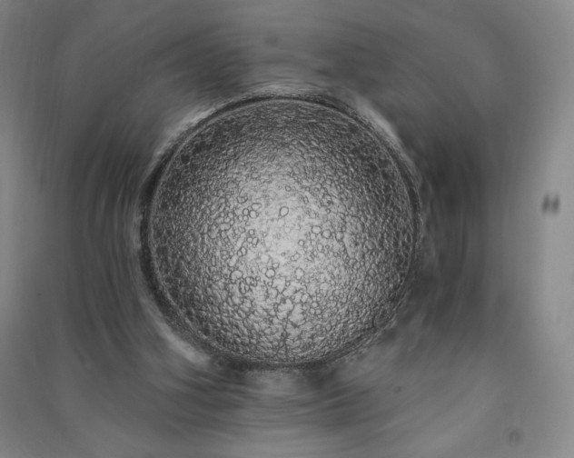 X0000091330106200708171359