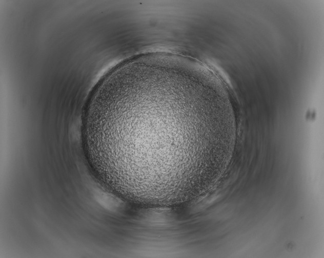 X0000091330108200708171359