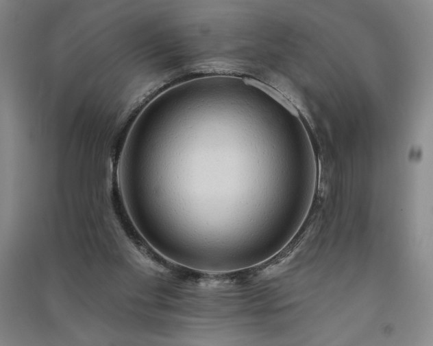 X0000091330109200708171359