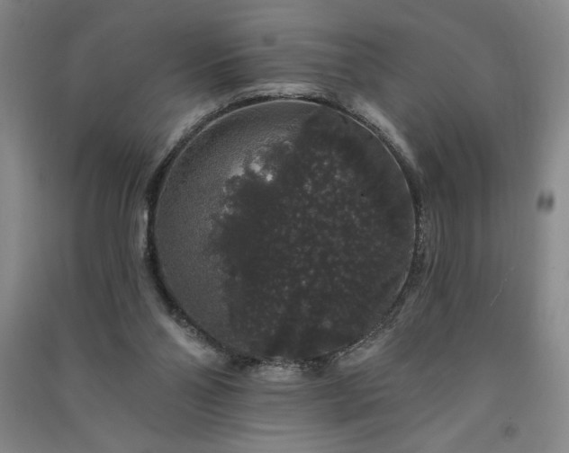 X0000091330110200708171359