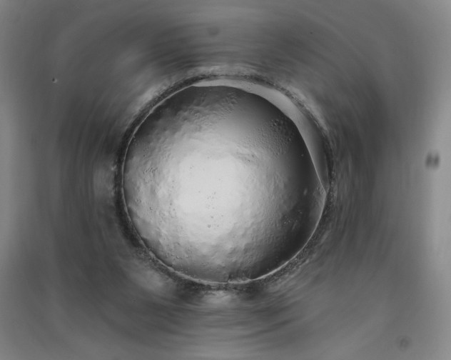 X0000091330111200708171359