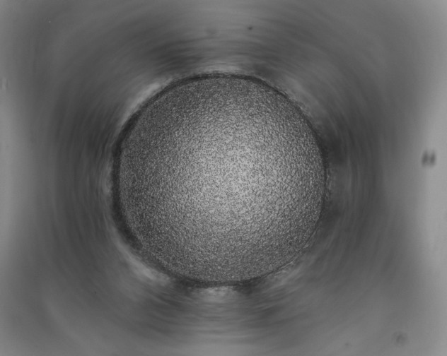 X0000091330112200708171359