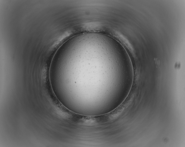 X0000091330113200708171359