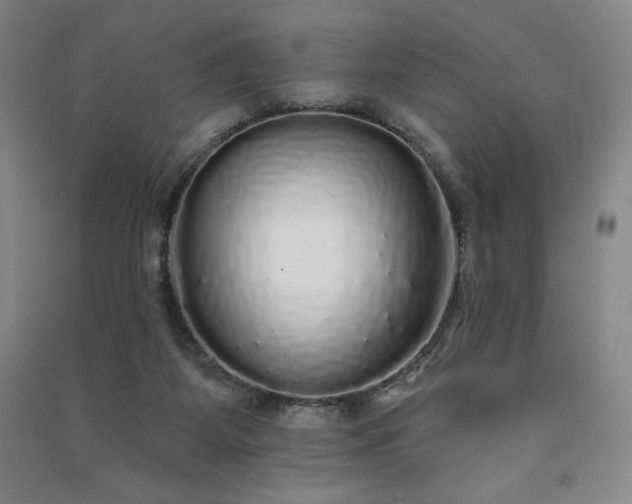 X0000091330115200708171359