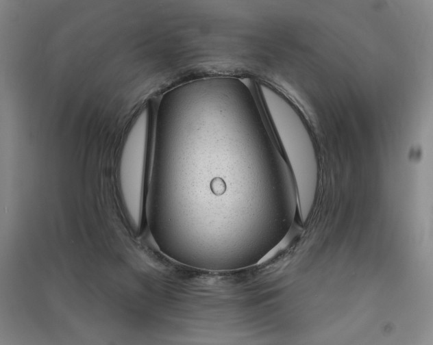 X0000091330117200708171359