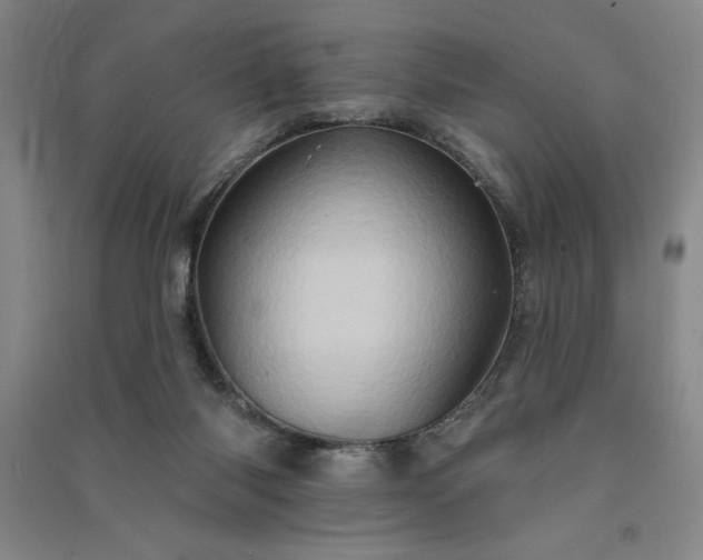 X0000091330118200708171359