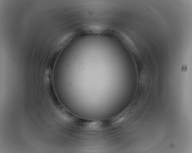 X0000091330122200708171359