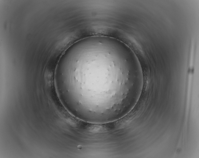 X0000091330123200708171359