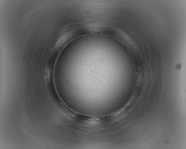 X0000091330124200708171359