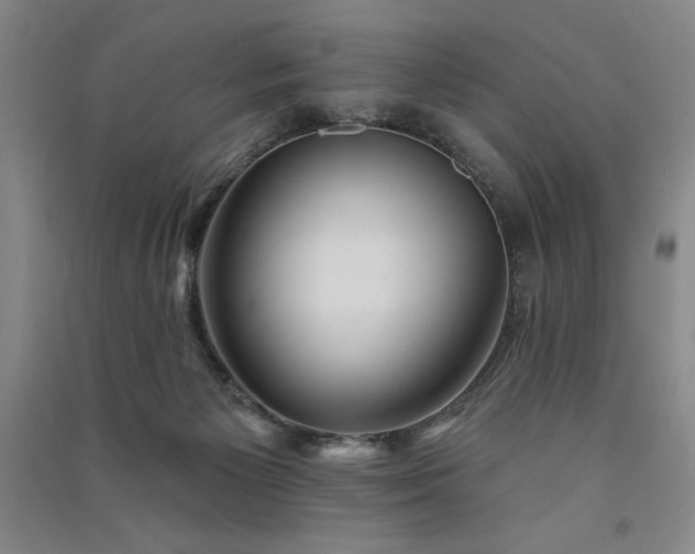 X0000091330125200708171358