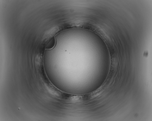 X0000091330126200708171358