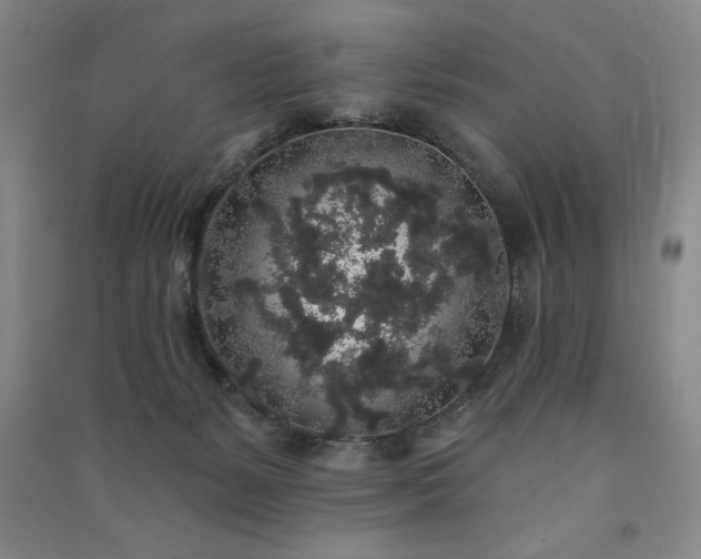 X0000091330127200708171358