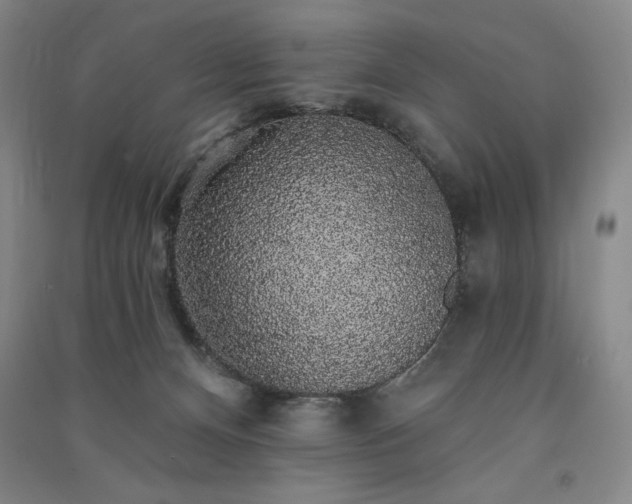 X0000091330128200708171358