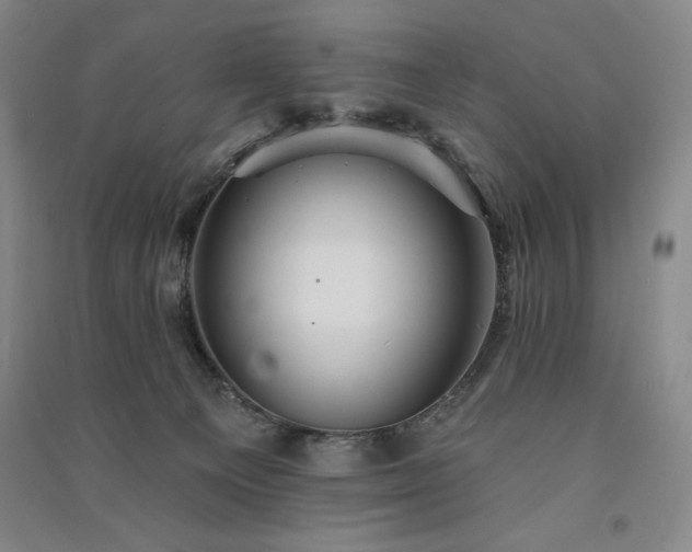 X0000091330129200708171358