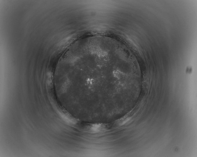 X0000091330130200708171358