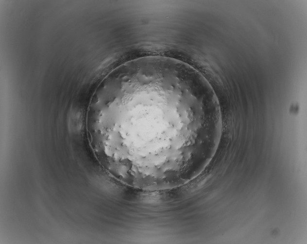 X0000091330131200708171358