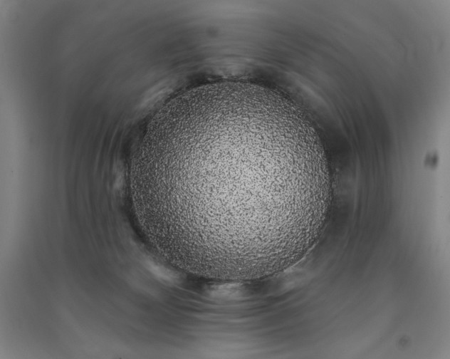 X0000091330132200708171358