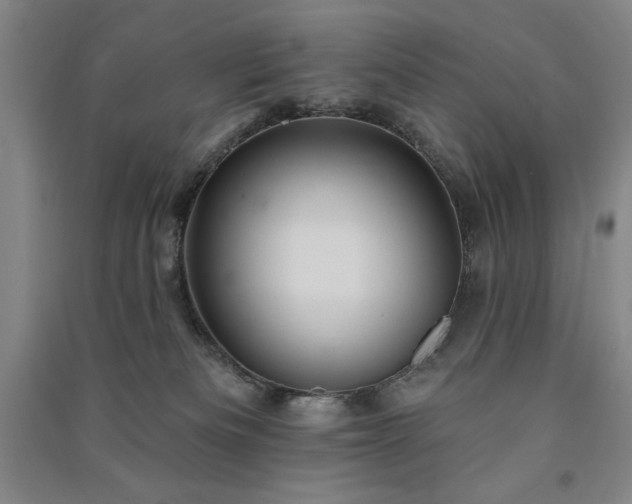 X0000091330133200708171358