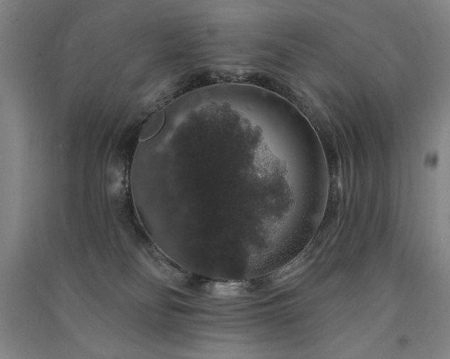 X0000091330134200708171358