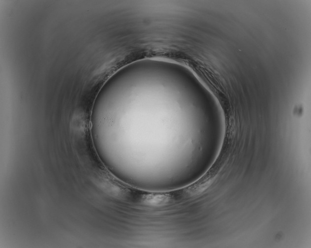 X0000091330135200708171358