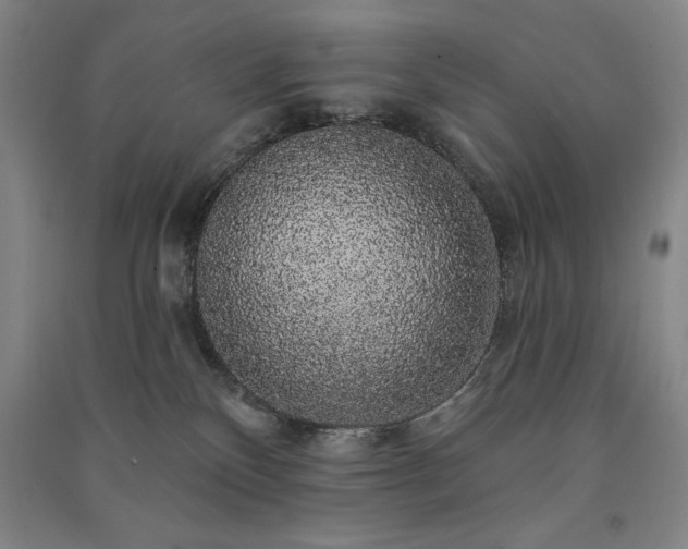 X0000091330136200708171358