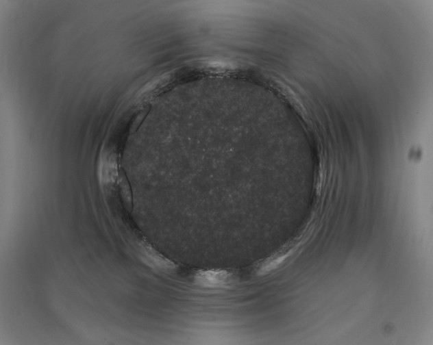 X0000091330137200708171358