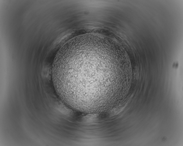 X0000091330138200708171358